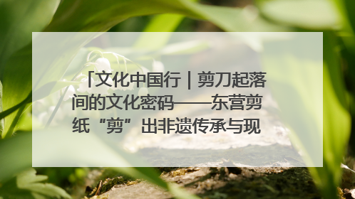 文化中国行｜剪刀起落间的文化密码——东营剪纸“剪”出非遗传承与现代生活的融合之道