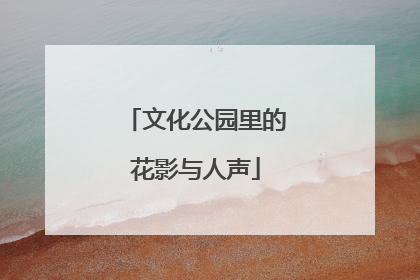 文化公园里的花影与人声