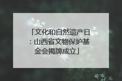 文化和自然遗产日：山西省文物保护基金会揭牌成立