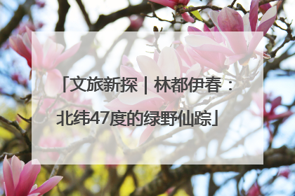 文旅新探｜林都伊春：北纬47度的绿野仙踪