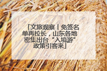 文旅观察丨免签名单再拉长，山东各地密集出台“入境游”政策引客来