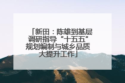 新田：陈雄到基层调研指导“十五五”规划编制与城乡品质大提升工作
