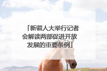 新疆人大举行记者会解读两部促进开放发展的重要条例