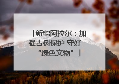 新疆阿拉尔：加强古树保护 守好“绿色文物”