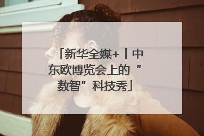 新华全媒+丨中东欧博览会上的“数智”科技秀