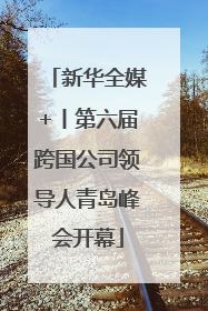 新华全媒+丨第六届跨国公司领导人青岛峰会开幕
