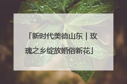 新时代美德山东｜玫瑰之乡绽放婚俗新花