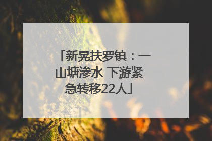 新晃扶罗镇：一山塘渗水 下游紧急转移22人