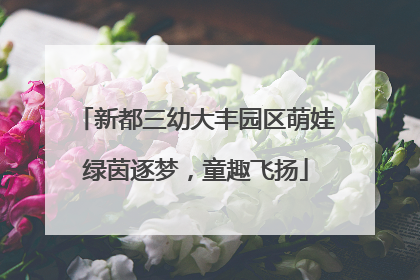 新都三幼大丰园区萌娃绿茵逐梦，童趣飞扬