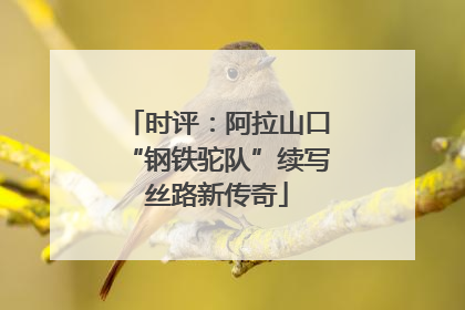 时评：阿拉山口“钢铁驼队”续写丝路新传奇