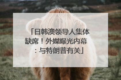 日韩澳领导人集体缺席！外媒曝光内幕：与特朗普有关