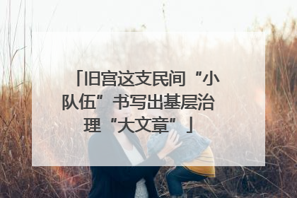 旧宫这支民间“小队伍”书写出基层治理“大文章”