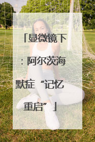显微镜下：阿尔茨海默症“记忆重启”