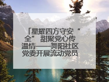 星耀四方守安“全” 甜聚党心传温情——舞阳社区党委开展流动党员建党节主题活动