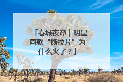 春城夜谭｜明星同款“撕拉片”为什么火了？