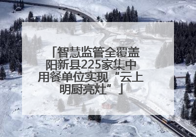 智慧监管全覆盖 阳新县225家集中用餐单位实现“云上明厨亮灶”