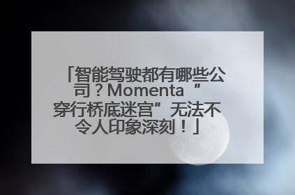 智能驾驶都有哪些公司？Momenta“穿行桥底迷宫”无法不令人印象深刻！