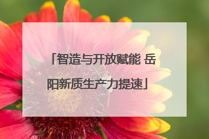 智造与开放赋能 岳阳新质生产力提速