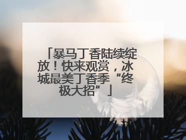暴马丁香陆续绽放！快来观赏，冰城最美丁香季“终极大招”