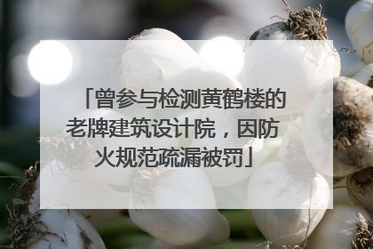 曾参与检测黄鹤楼的老牌建筑设计院，因防火规范疏漏被罚