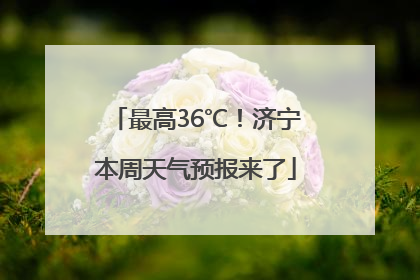 最高36℃！济宁本周天气预报来了