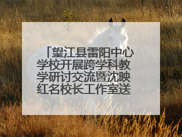 望江县雷阳中心学校开展跨学科教学研讨交流暨沈映红名校长工作室送教活动