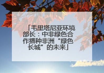 毛里塔尼亚环境部长：中非绿色合作播种非洲“绿色长城”的未来