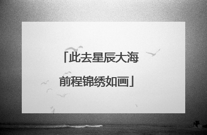 此去星辰大海 前程锦绣如画