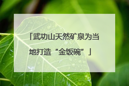 武功山天然矿泉为当地打造“金饭碗”