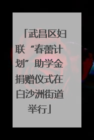 武昌区妇联“春蕾计划”助学金捐赠仪式在白沙洲街道举行