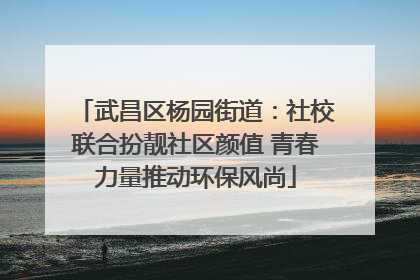 武昌区杨园街道:社校联合扮靓社区颜值 青春力量推动环保风尚