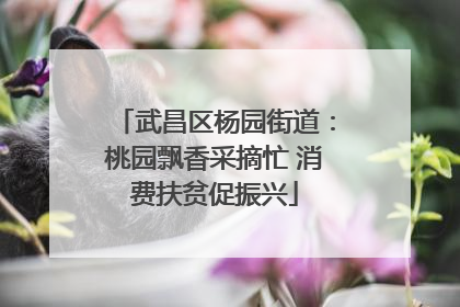 武昌区杨园街道：桃园飘香采摘忙 消费扶贫促振兴