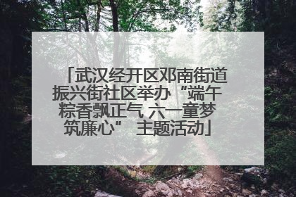 武汉经开区邓南街道振兴街社区举办“端午粽香飘正气 六一童梦筑廉心” 主题活动