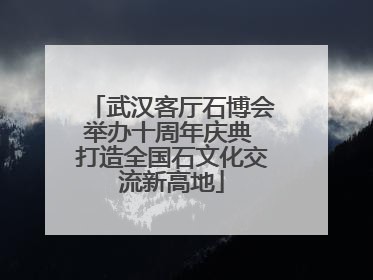武汉客厅石博会举办十周年庆典 打造全国石文化交流新高地