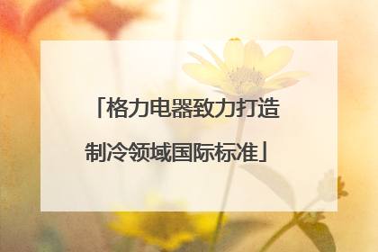 格力电器致力打造制冷领域国际标准
