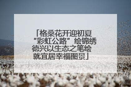 格桑花开迎初夏 “彩虹公路”绘锦绣 德兴以生态之笔绘就宜居幸福图景
