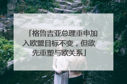 格鲁吉亚总理重申加入欧盟目标不变，但欲先重塑与欧关系