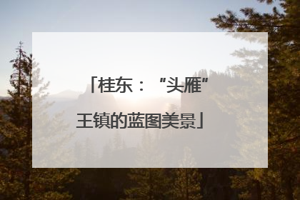 桂东：“头雁”王镇的蓝图美景