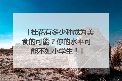 桂花有多少种成为美食的可能？你的水平可能不如小学生！