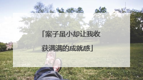 案子虽小却让我收获满满的成就感
