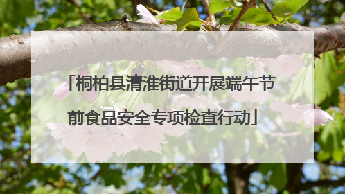 桐柏县清淮街道开展端午节前食品安全专项检查行动