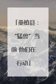 桑植县：“猛兽”当前 他们在行动