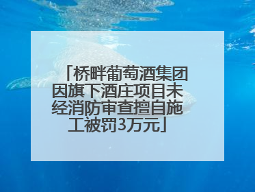 桥畔葡萄酒集团因旗下酒庄项目未经消防审查擅自施工被罚3万元