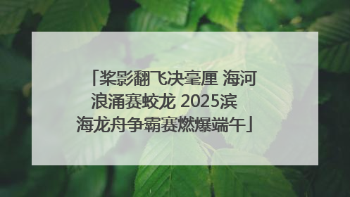 桨影翻飞决毫厘 海河浪涌赛蛟龙 2025滨海龙舟争霸赛燃爆端午