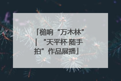 槌响“万木林”｜“天平杯·随手拍”作品展播
