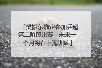 樊振东确定参加乒超第二阶段比赛，未来一个月将在上海训练