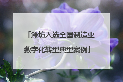 潍坊入选全国制造业数字化转型典型案例