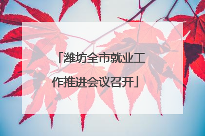 潍坊全市就业工作推进会议召开