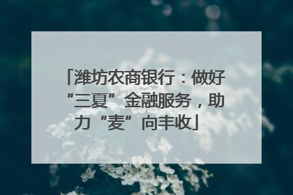潍坊农商银行：做好“三夏”金融服务，助力“麦”向丰收