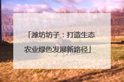 潍坊坊子：打造生态农业绿色发展新路径